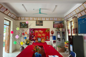 Ảnh trực tết và trồng cây đầu xuân